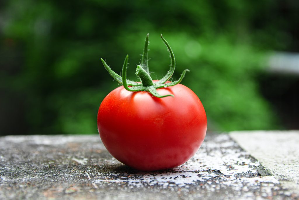 red vine tomato