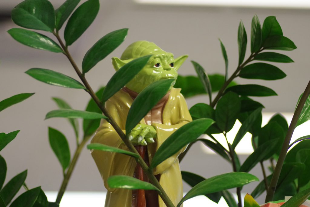 Plastic yoda toy behind houseplant