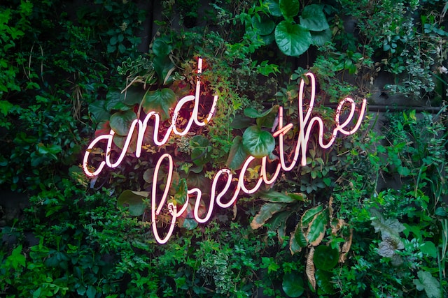 "and breathe" in neon signage, mounted on a lush garden wall